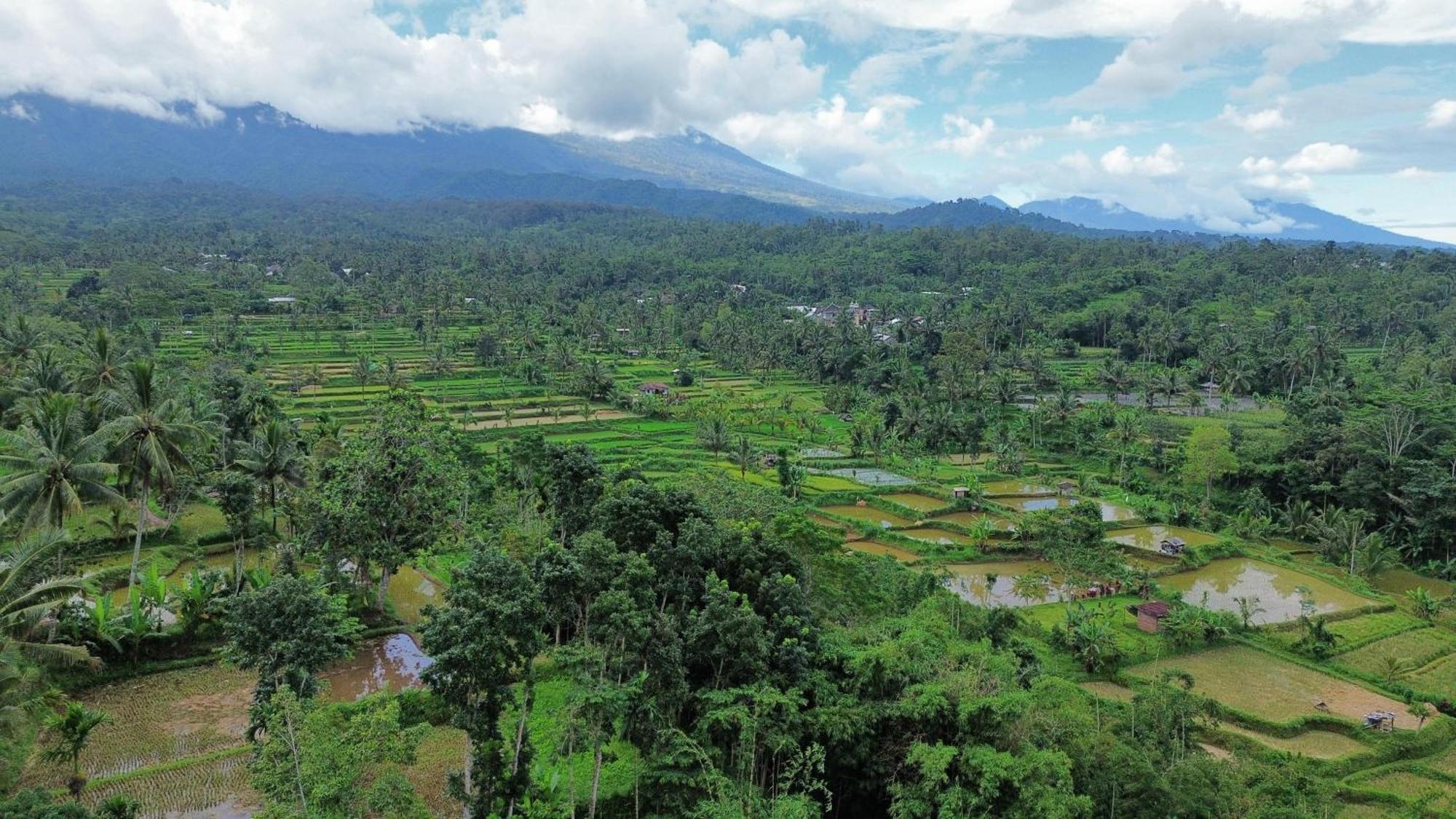 Serenity Lodge Tetebatu Lombok Bagian luar foto