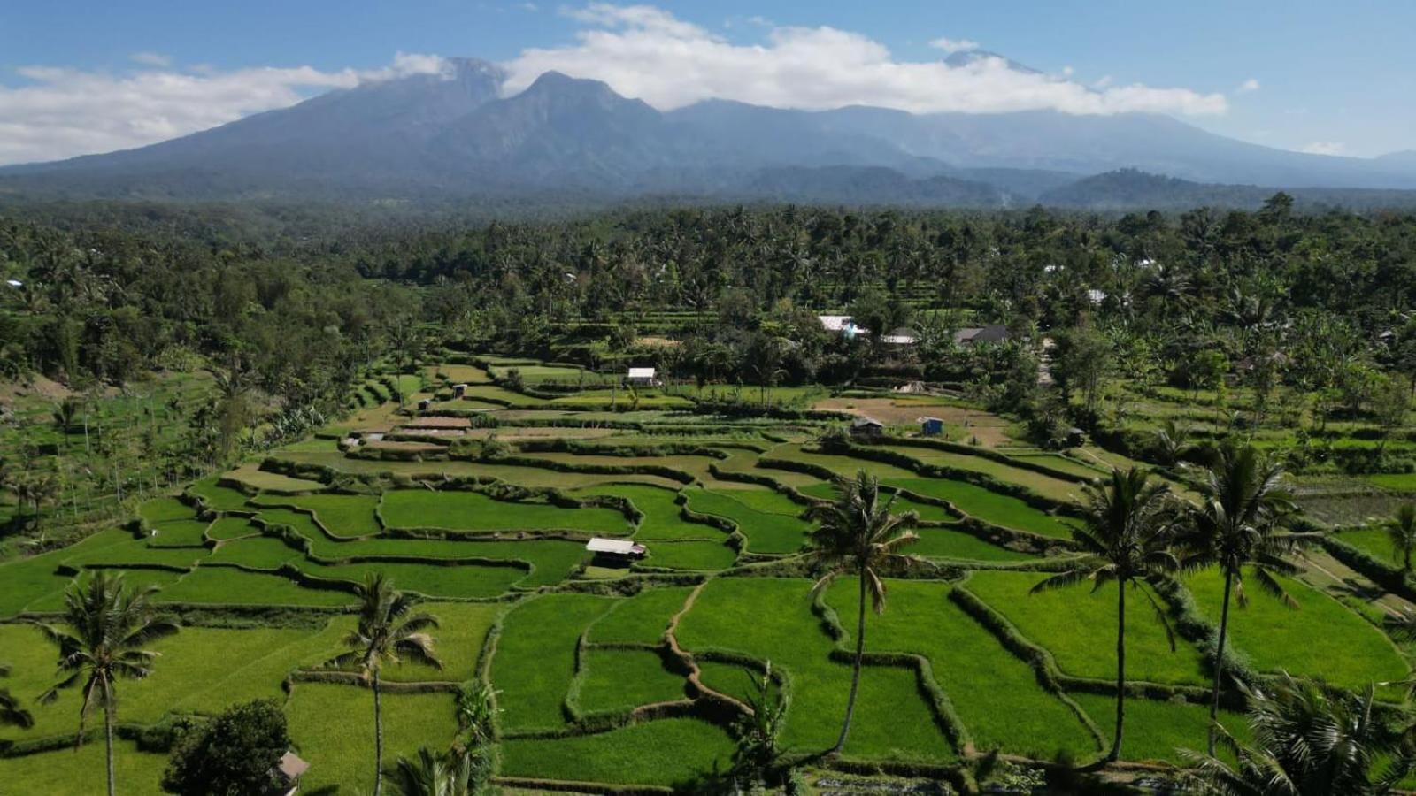 Serenity Lodge Tetebatu Lombok Bagian luar foto