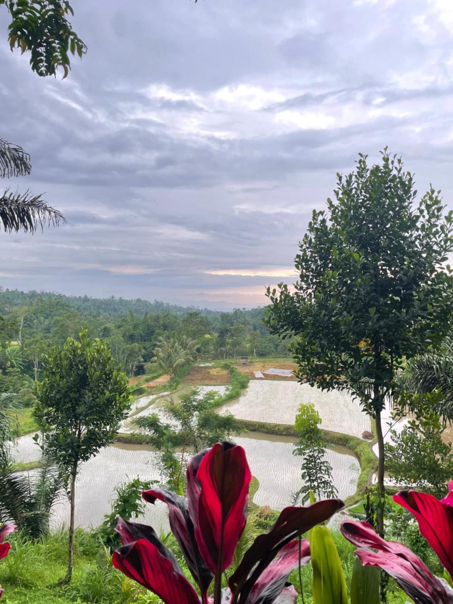 Serenity Lodge Tetebatu Lombok Bagian luar foto