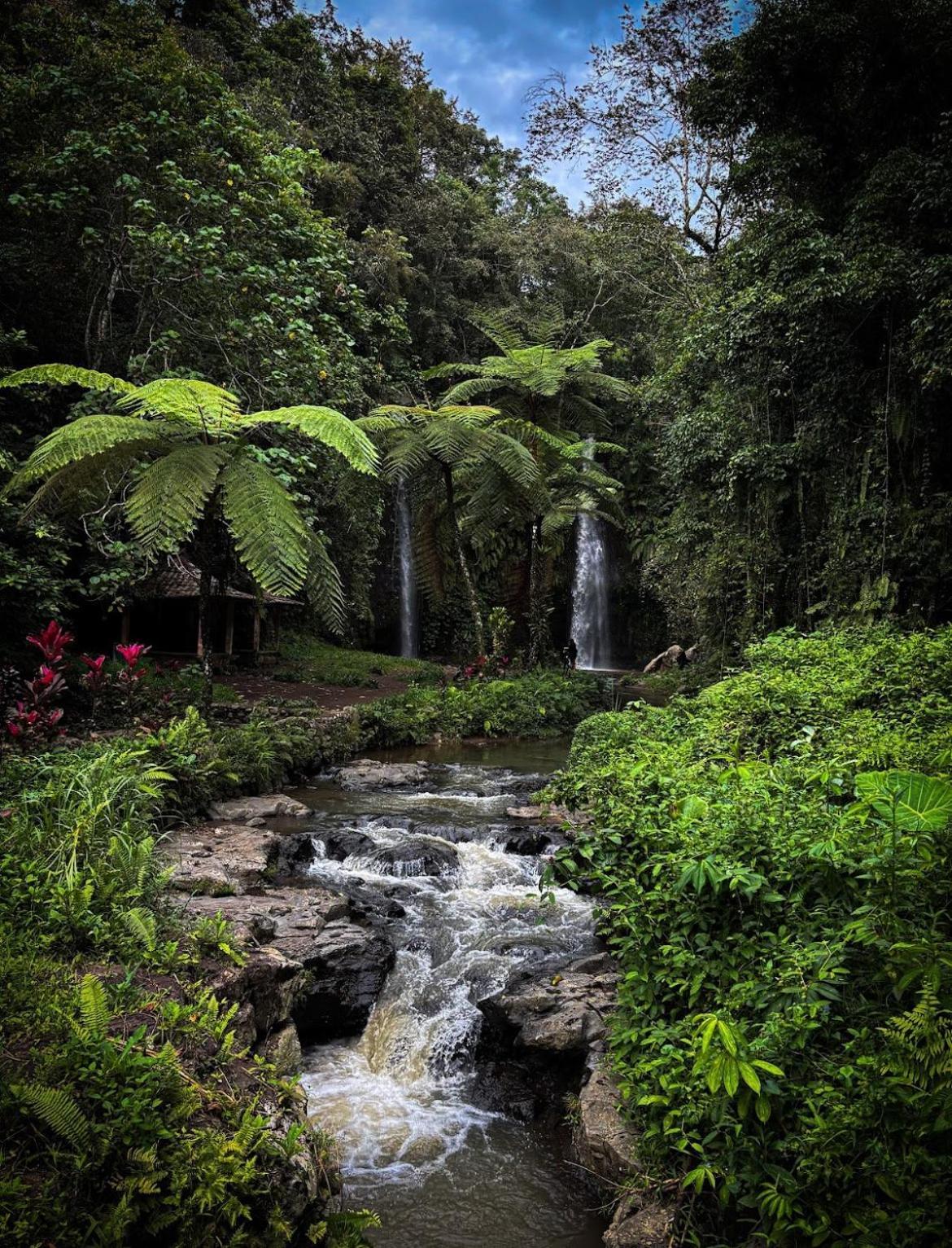 Serenity Lodge Tetebatu Lombok Bagian luar foto